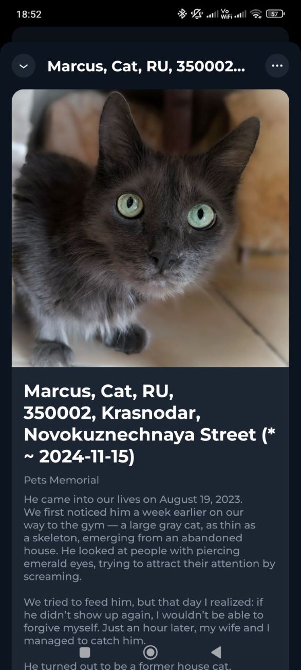 Memorial NFT displayed in a wallet