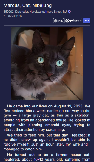 Viewing the minted Memorial NFT