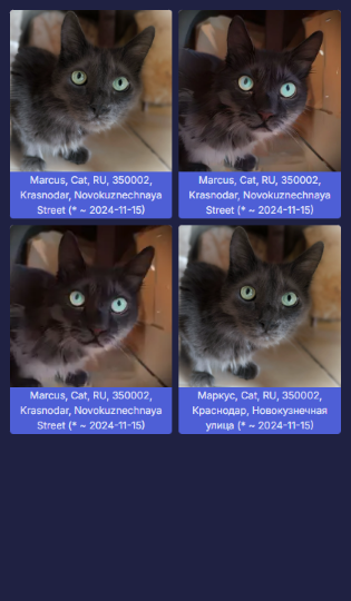 Owner’s Memorial NFT Gallery