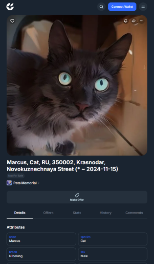 Viewing NFT on Getgems platform